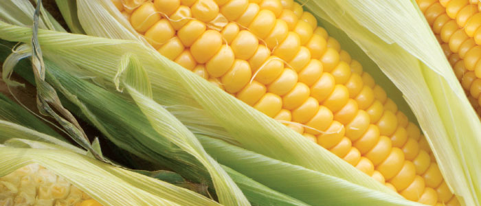 corn five ways