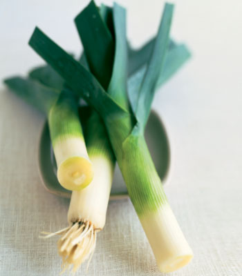 fixing a leek