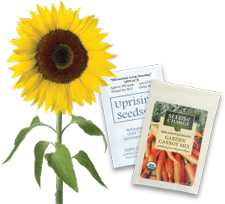 greenthumb seeds sunflower
