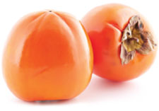 holidaypicks persimmons