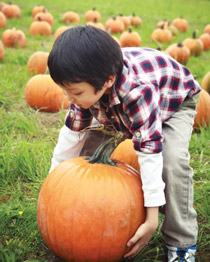 kid pumpkinpatch