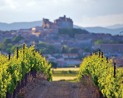 languedoc vineyard