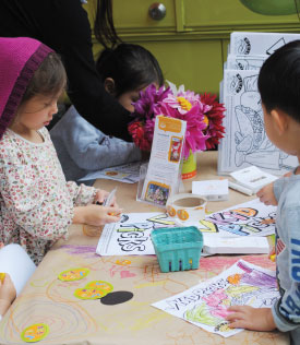 pcc community grant