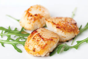 restaurant scallops
