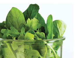 salad in jar short