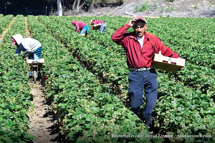 cover image migrant workers editorial use only
