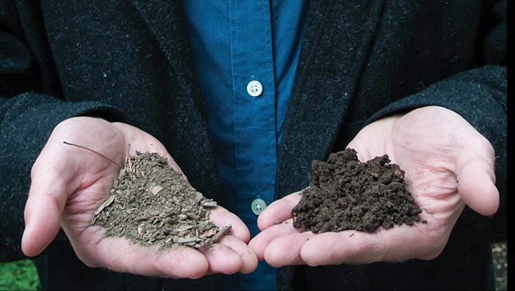 soil comparison in hand photo credit anne bikle