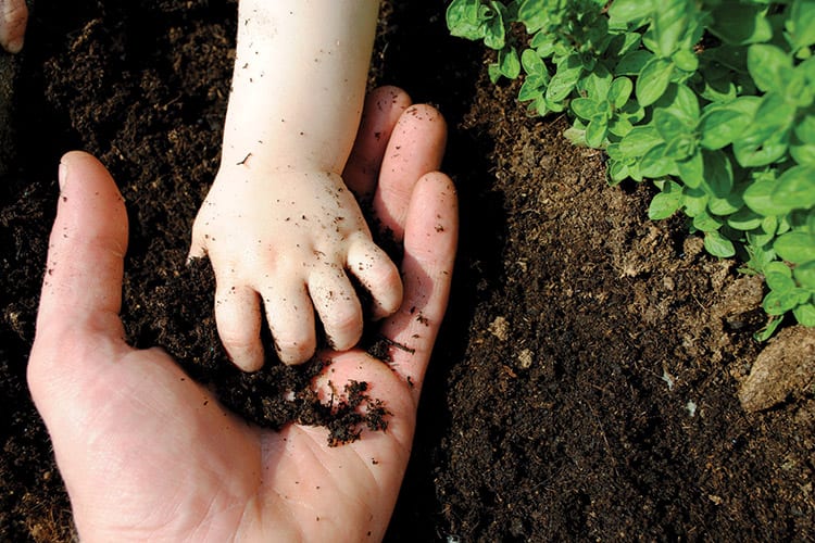 soil hands baby and parent cover