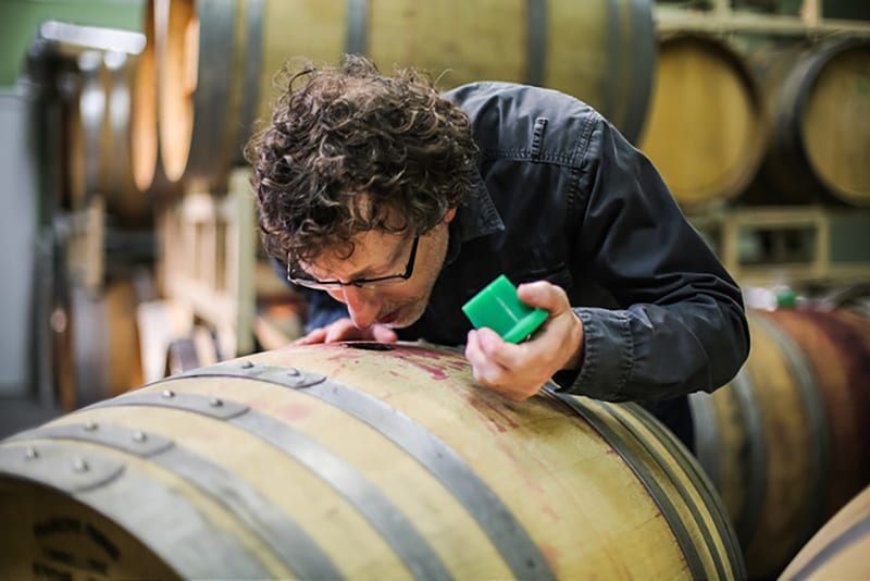 smelling wine barrell
