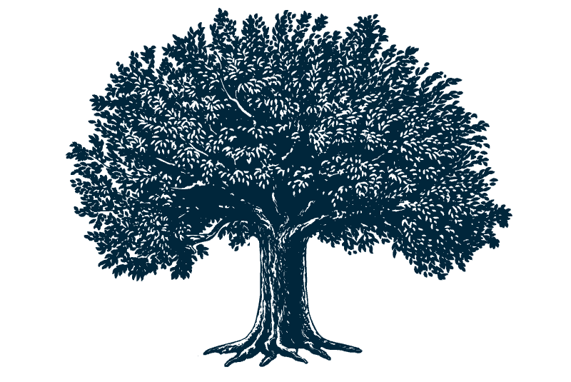 tree illustration