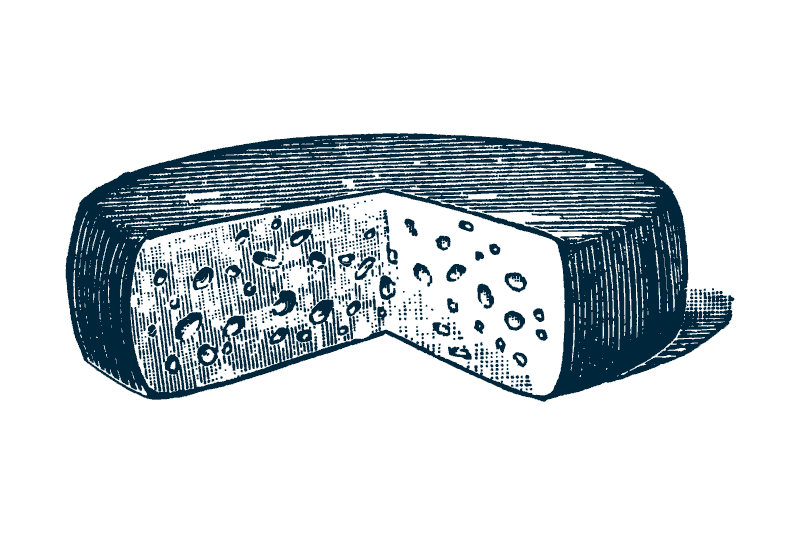Cheese illustration