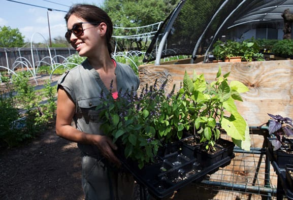 Healthy & Sustainable Communities