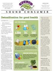 Sound Consumer, June 2012