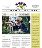 Sound Consumer, July 2015
