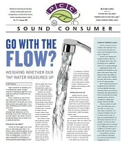 Sound Consumer, January 2017