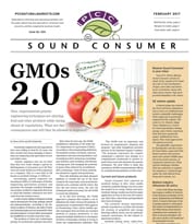 Sound Consumer, February 2017