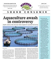 Sound Consumer, April 2017