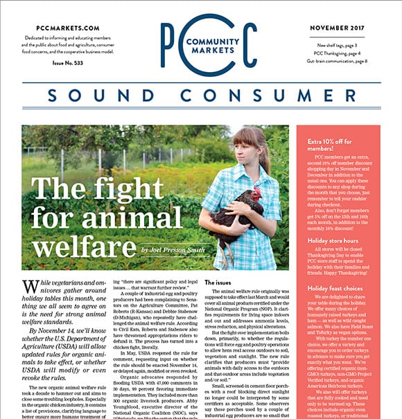 Sound Consumer, November 2017