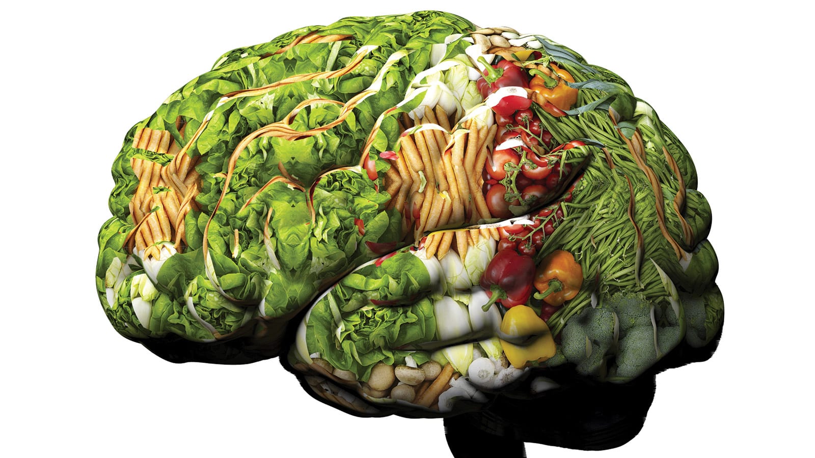 brain power
