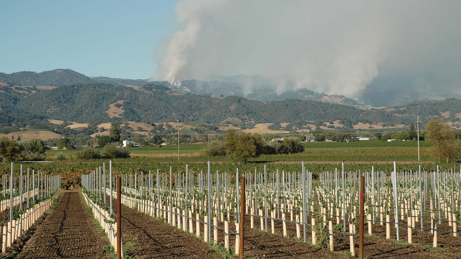 Soil & Sea: Reports from our producers