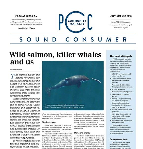 Sound Consumer, July - August 2018 | Issue No. 541 | Water