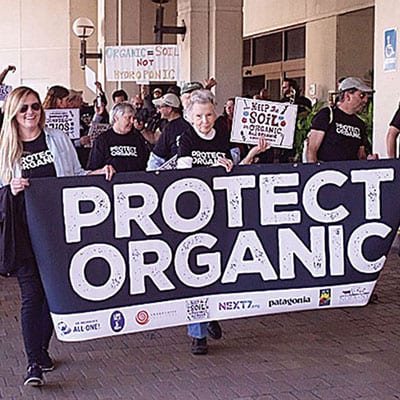 Rally to Protect Organic in Jacksonville. Photo courtesy of The Real Organic Project.