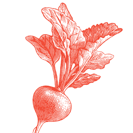 brand radish tilted