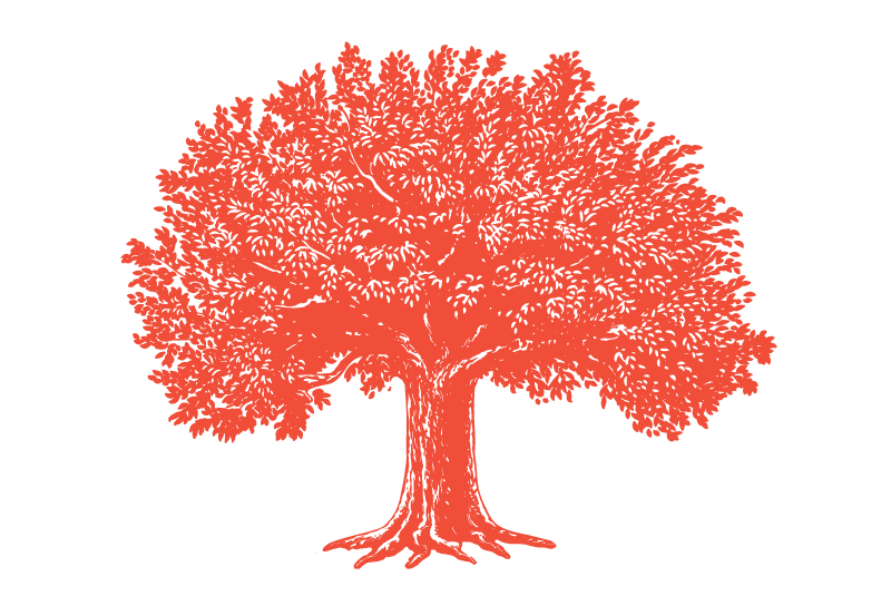 tree illustration