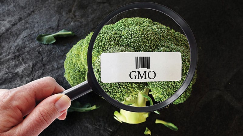 GMO produce broccoli 