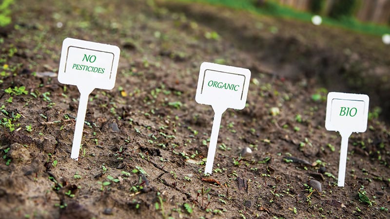 Abstract concept of organic farming practices