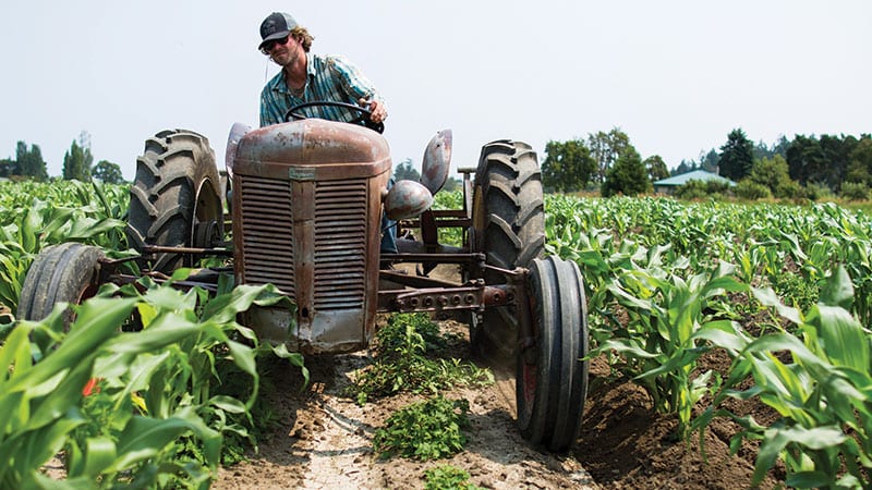 man in the field