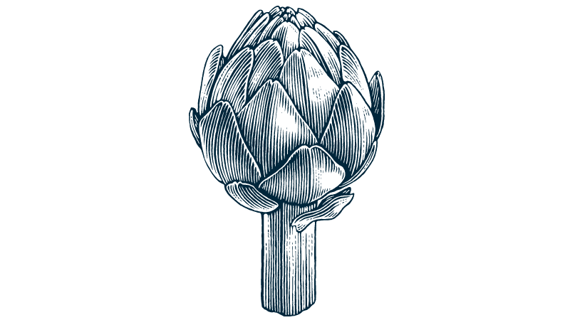 Artichoke navy illustration