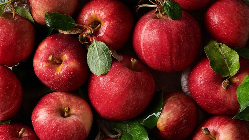 Fall apples