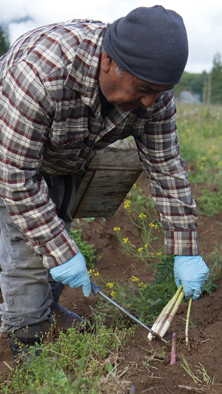 Growing for Good