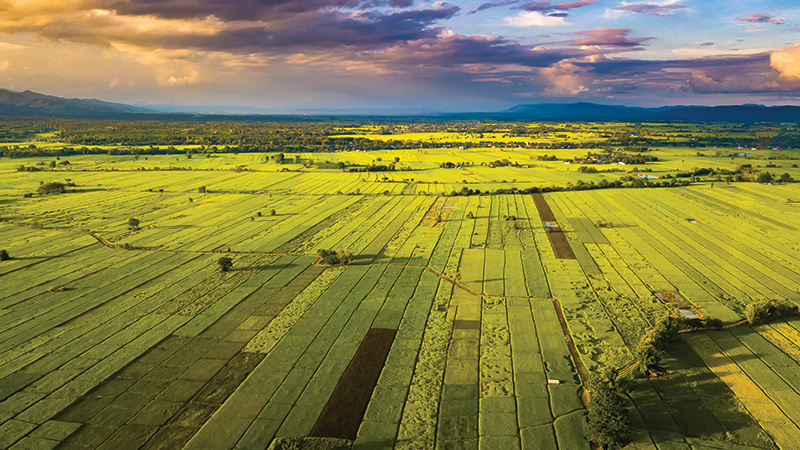 New state organization reignites support for organic and regenerative agriculture