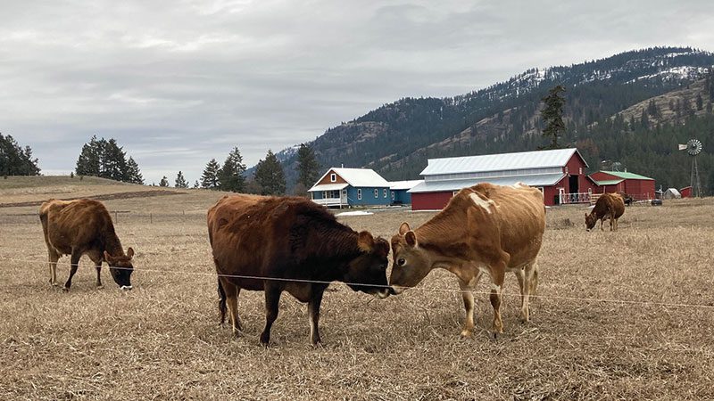 Meet the farmer(s) of the year