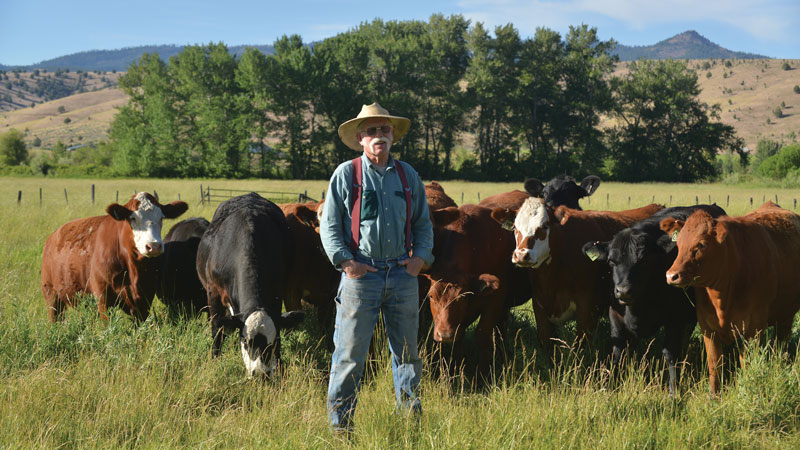 Oregon Country Beef