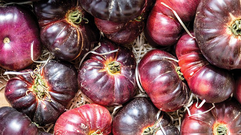 The Cherokee Purple puzzle: Should we rename famous seeds?