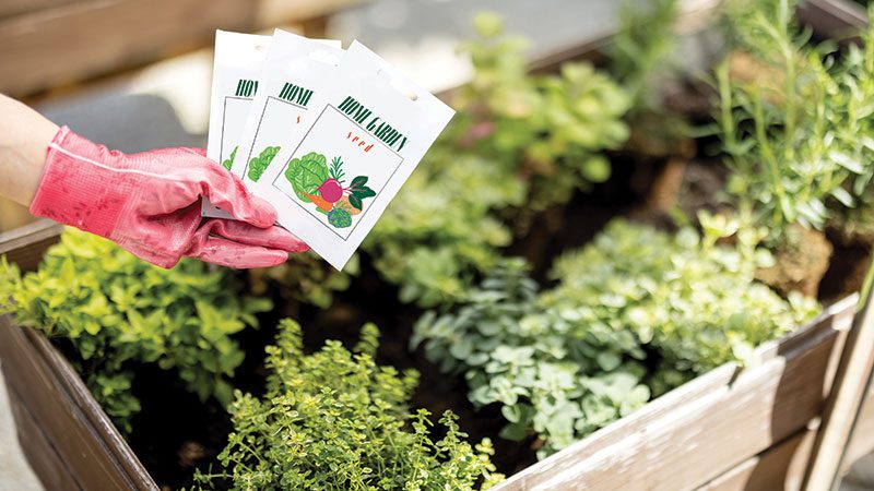 For some families, gardening starts with food benefits