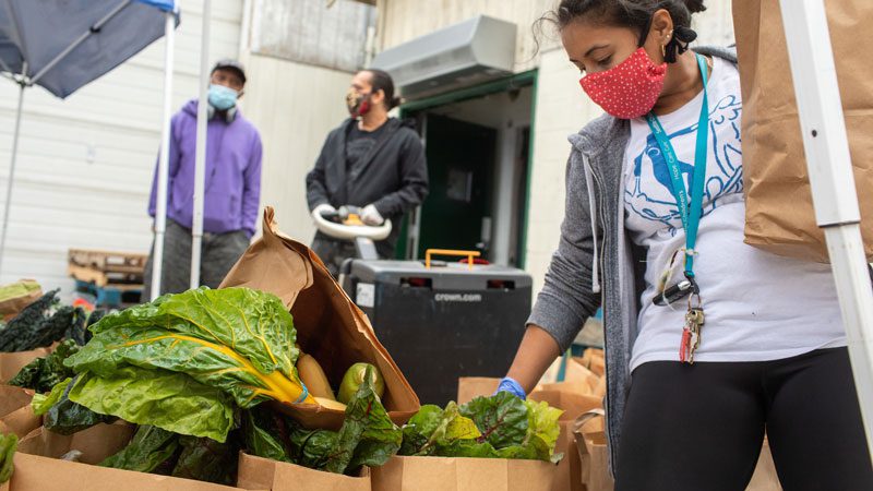 food bank volunteer
