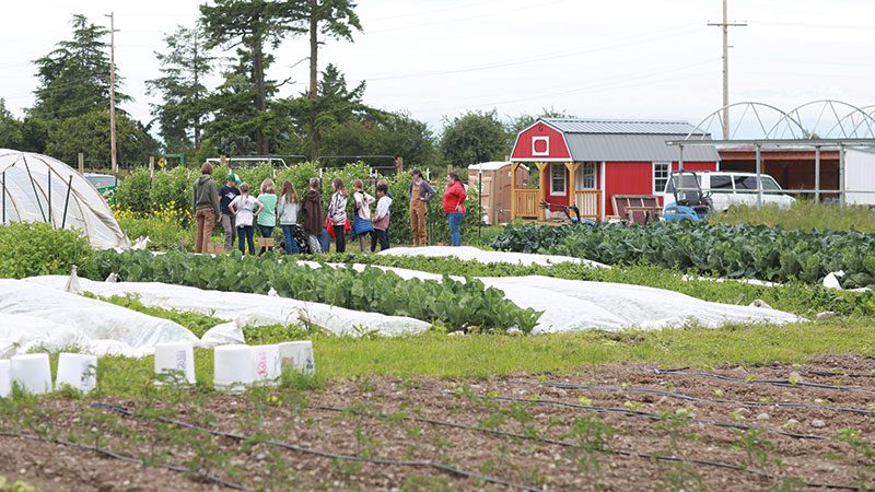 Growing a new kind of cafeteria food