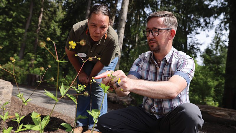 S’Klallam Connections Garden grows at Heronswood