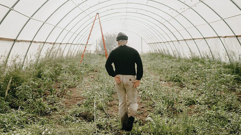 Pink Moon Farm preserved