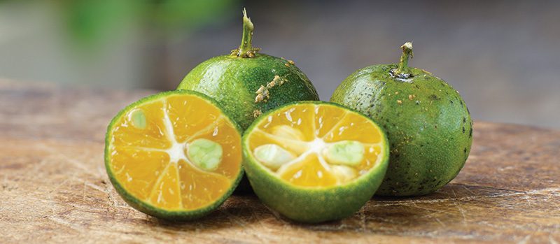 small limes