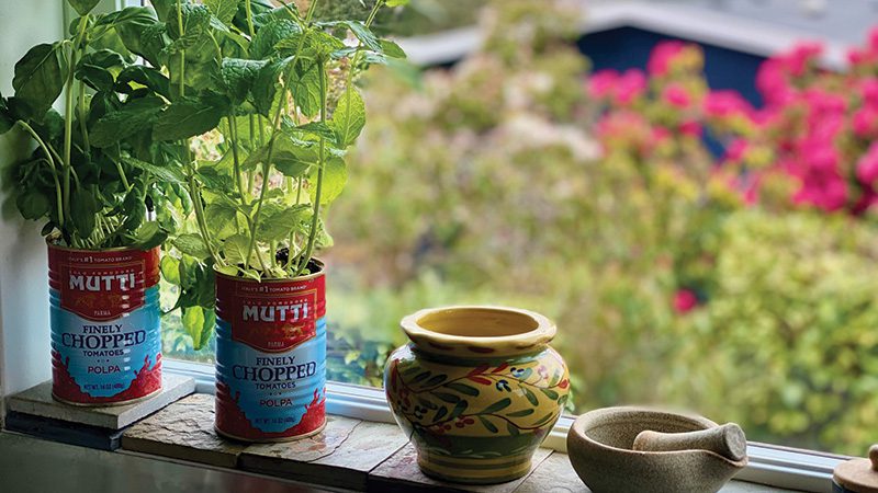 Brighten meals by cooking with fresh herbs