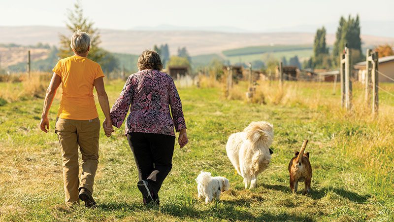 Farmstead creamery has “a little bit of magic”