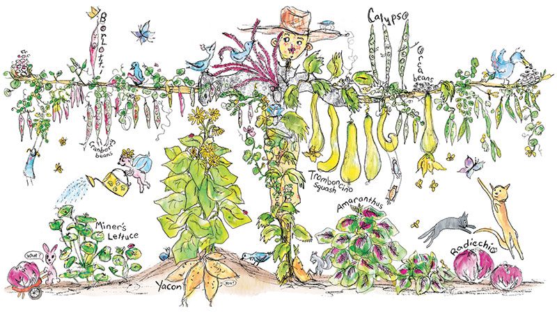 Plant some unsung heroes of the Northwest garden