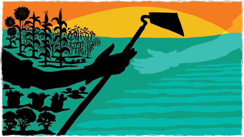 The Life Cycle of a Farmer