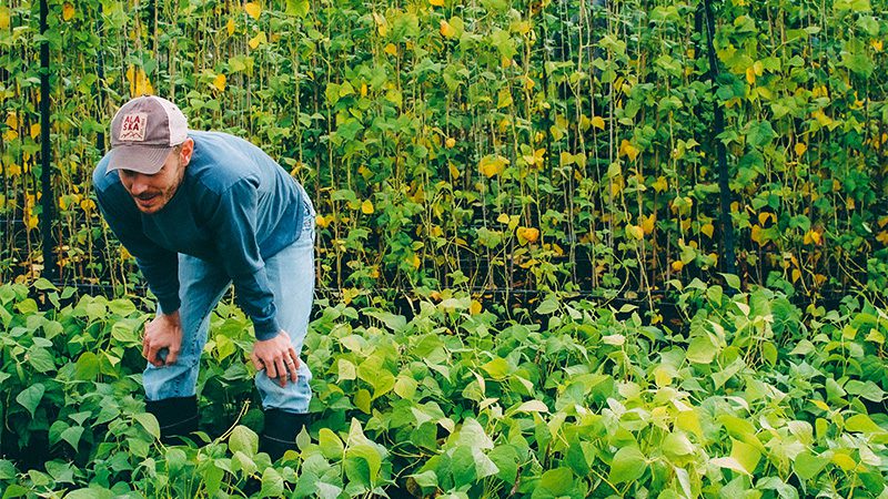 nash produce farmer