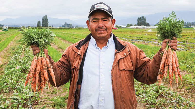 Viva Farms and partners raise a new crop of farmers